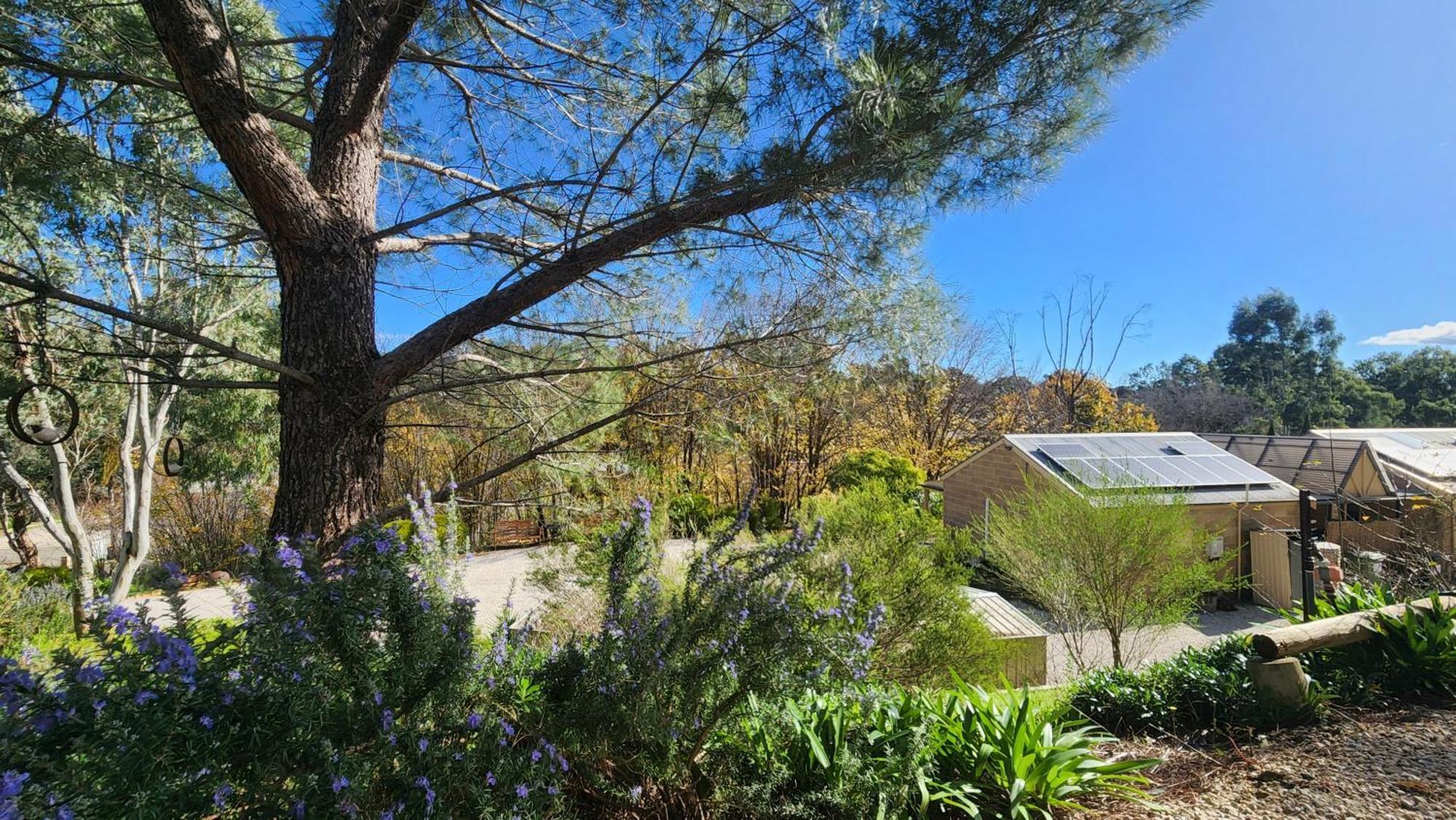 Riesling Trail & Clare Valley Cottages Zimmer foto
