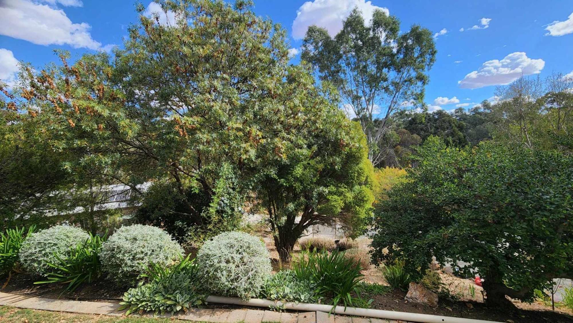 Riesling Trail & Clare Valley Cottages Zimmer foto